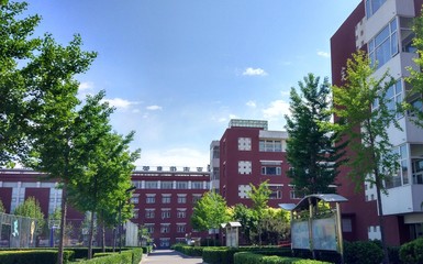 北京市信息管理學校、學校招生計劃